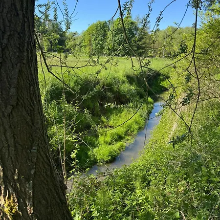 Maison Avec Piscine Dans Un Environnement Idyllique